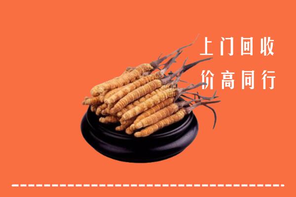 高价求购：渭南市大荔县回收散虫草