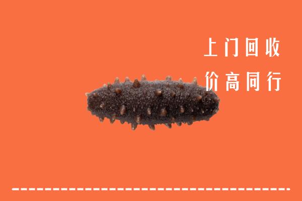 渭南市大荔县回收海参