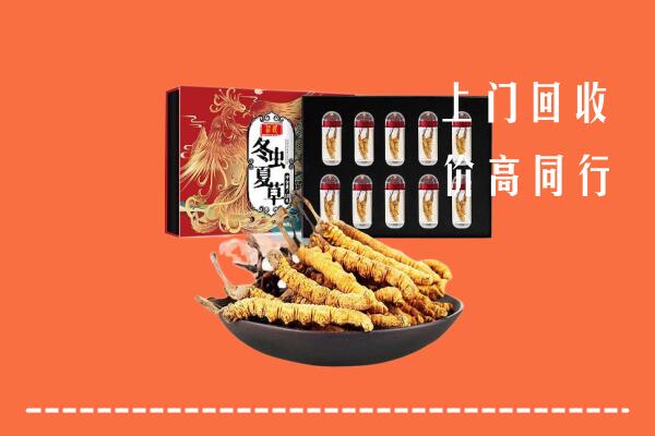 收购行情：渭南市大荔县回收虫草